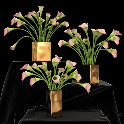 Modern Calla 3d model