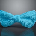 Adorable Animal Wearing Blue Knitted Bow Tie On Reflective Gray Background