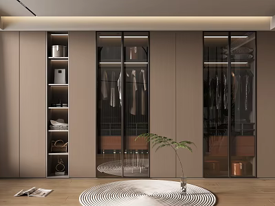 Modern Walk in Closet Interior with Glass Doors Brown Cabinets Green Plant and Round Rug 3d model