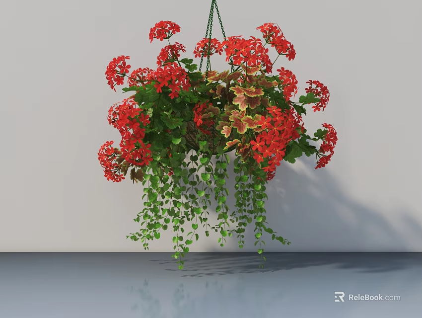 Hanging Basket Plants with Red Flowers Trailing Green Leaves Against Light Wall and Floor Reflection 3d model 
