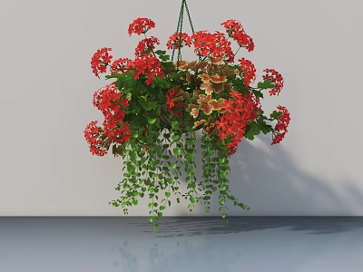 Hanging Basket Plants with Red Flowers Trailing Green Leaves Against Light Wall and Floor Reflection 3d model