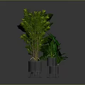 Lush Green Plants With Various Leaf Shapes In Metal And Transparent Pots On Gray Background