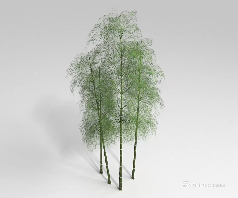 Natural Bamboo Plants With Green Leaves And Tall Stalks In Cluster 3d model 