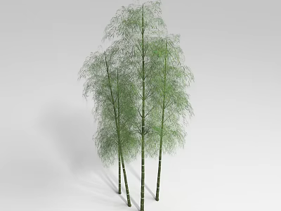 Natural Bamboo Plants With Green Leaves And Tall Stalks In Cluster 3d model