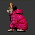 Cute Tabby Cat Wearing Bright Pink Puffer Coat Sitting On Shiny Dark Surface