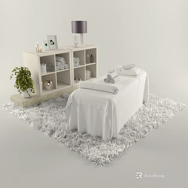Soothing SPA Room Interior With Massage Table White Sheets Green Plant And Shaggy Rug 3d model 