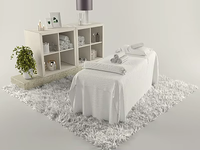 Soothing SPA Room Interior With Massage Table White Sheets Green Plant And Shaggy Rug 3d model