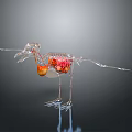 Transparent Bird Skeleton Model With Visible Red And Orange Internal Organs Against Dark Background 3d model