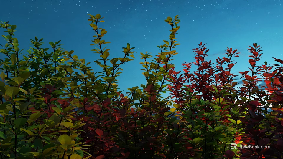 Colorful Shrubs With Red And Green Leaves Under Starry Night Sky 3d model 
