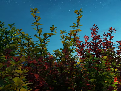 Colorful Shrubs With Red And Green Leaves Under Starry Night Sky 3d model