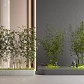 Bamboo Plants In Modern Indoor Landscaping With Rocks And Moss