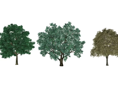 Three Different Colored Arbors Displaying Dark Green Light Green And Brown Foliage 3d model