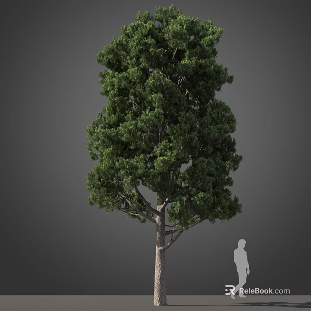 Tall Arbor Featuring Lush Green Foliage Thick Trunk and Human Silhouette for Scale 3d model 