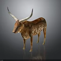 Brown and white spotted longhorn cattle standing on dark background with reflection