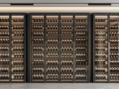 Modern Wine Cabinets Interior With Glass Doors And Neatly Arranged Wine Bottles 3d model