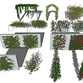 Various Decorative Garden Vines With Arches Screens And Wall Design Elements