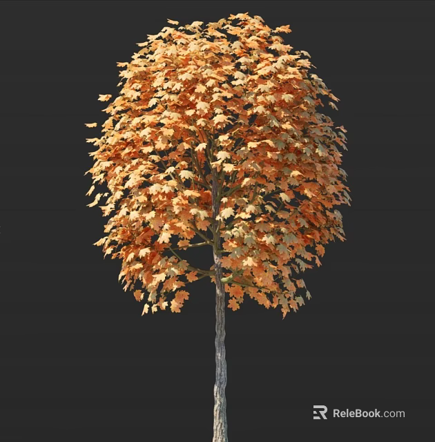 Arbor With Orange Yellow Autumn Leaves And Full Crown Design 3d model 