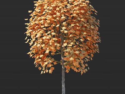 Arbor With Orange Yellow Autumn Leaves And Full Crown Design 3d model