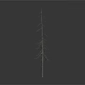 Two Leafless Dry Trees Standing Isolated Against Minimalist White Background