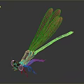 3D Rendered Dragonfly With Black Blue Body And Transparent Wings