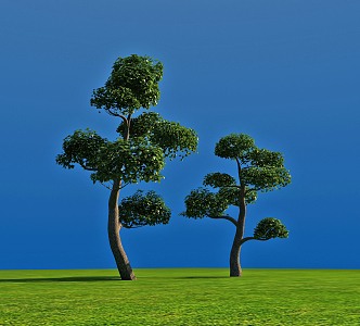 Modern tree modeling tree 3d model