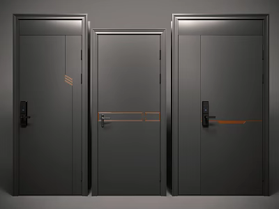 Three Dark Colored Security Doors With Modern Design And Metal Accents 3d model