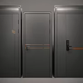 Three Dark Colored Security Doors With Modern Design And Metal Accents