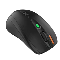 Mouse 3d model