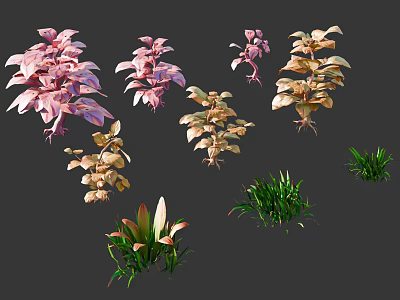 Various Types Of Ornamental Trees With Pink Gold And Green Foliage 3d model