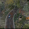 Tall Deciduous Trees Lining Winding Road with Fallen Leaves and Passing Van in Autumn Sunlight