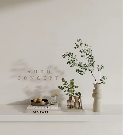 Minimalist AUDO CONCEPT Decorative Table Setup With Eucalyptus Vase Books And Fruit 3d model