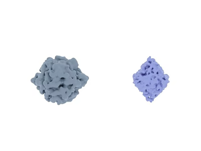Two Gray and Purple Colored 3D Structures Isolated on White Background 3d model