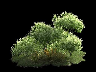 Lush Green Shrubs With Clustered Foliage And Natural Grass Base 3d model