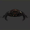 Vibrant Red And Black Beetle With Large Curved Horns On Dark Background