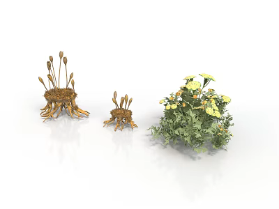 Three Plant Models Featuring Brown Rhizome Organs And Hair Like Branches With Green Flowering Plant 3d model
