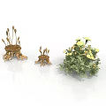 Three Plant Models Featuring Brown Rhizome Organs And Hair Like Branches With Green Flowering Plant