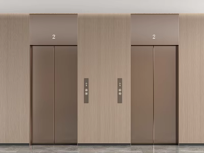 Elevator Hallway With Two Brown Doors Wooden Texture Walls And Floor Number 2 3d model