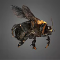 Detailed Flying Insect With Black And Yellow Body Transparent Wings And Compound Eyes