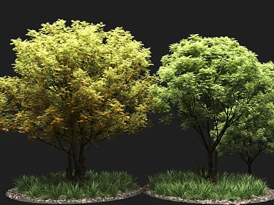 Lush Trees with Yellowish Green Orange and Green Leaves on Grass and Small Stones 3d model