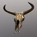 Bull Skull With Large Curved Horns And Detailed Texture On Gray Background