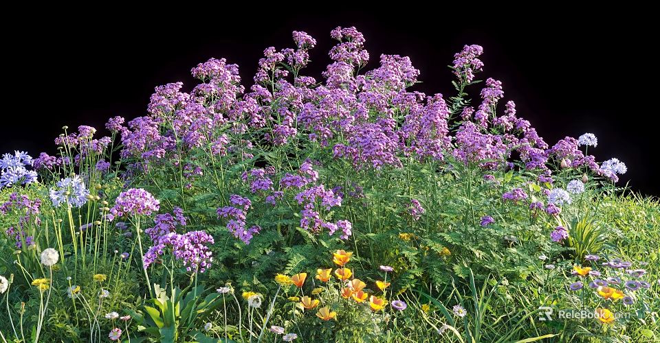 Blooming Lush Purple Flowers With Yellow And White Small Flowers And Green Grass 3d model 