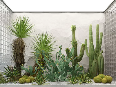 Succulent Plants Interior Design With Cactus Agave Glass Block Wall White Wall And Gravel 3d model