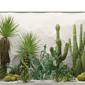 Succulent Plants Interior Design With Cactus Agave Glass Block Wall White Wall And Gravel
