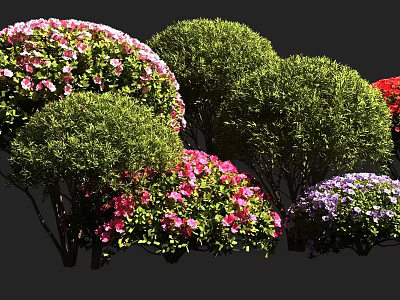 Vibrant Flowering Bushes With Pink Purple Red Blooms In Rounded Green Forms 3d model