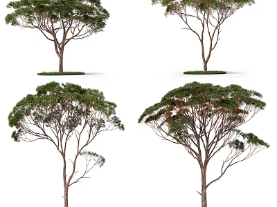 Different Arbor Tree Varieties With Lush Green Foliage And Natural Branch Structures 3d model