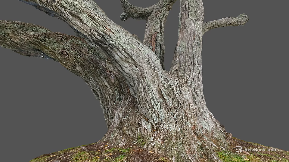 Rough Tree Trunk With Natural Wood Texture And Moss At The Base On Gray Background 3d model 