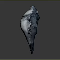 Aquatic Animal With Blue And White Color Round Body Shape And Fins Details