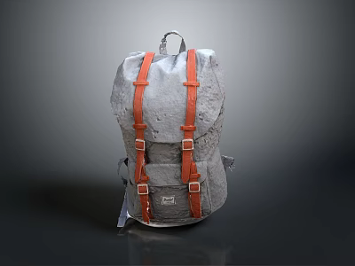 Gray Daily Use Backpack With Orange Straps And Metal Buckles Design 3d model