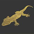 Gecko With Rough Textured Skin Brown Gray Spots On Smooth Dark Reflective Surface View