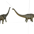 Realistic Brown Reptile Models With Long Necks And Detailed Skin On White Background